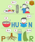 Kunci-jawaban-tebak-gambar-level-121-nomor-20