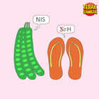 Jawaban-Tebak-Gambar-Level-2-no-16