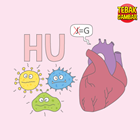 Kunci-jawaban-tebak-gambar-level-23-nomor-16