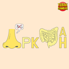 Kunci-jawaban-tebak-gambar-level-34-nomor-1