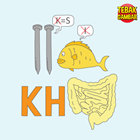 Kunci-Jawaban-Tebak-Gambar-Level-4-10