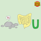 Kunci-jawaban-tebak-gambar-level-50-nomor-13