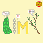 Kunci-jawaban-tebak-gambar-level-56-nomor-12