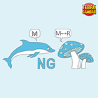 Kunci-jawaban-tebak-gambar-level-73-nomor-14