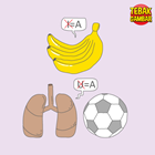 Kunci-Jawaban-Tebak-Gambar-Level-8-no-15