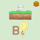 Kunci-jawaban-tebak-gambar-level-81-nomor-3