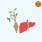 Kunci-jawaban-tebak-gambar-level-81-nomor-9