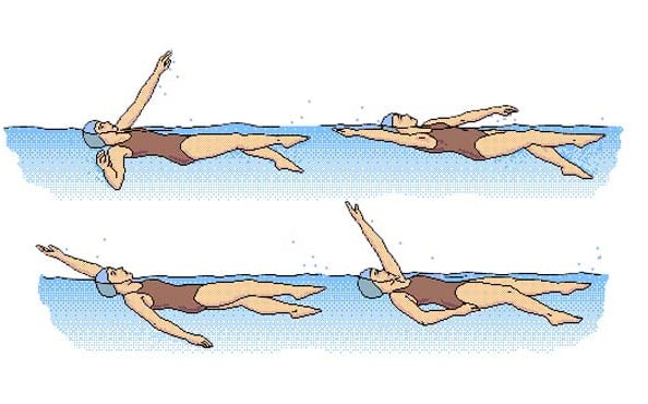 teknik renang gaya punggung