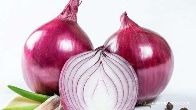 Cara berkembang biak bawang merah