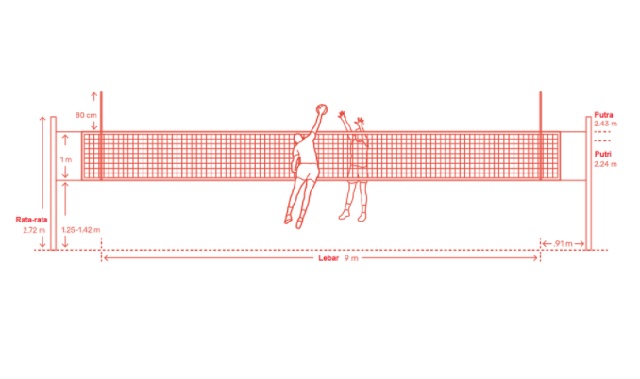 ukuran tinggi net bola voli untuk putra dan putri adalah