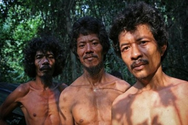 Gambar suku anak dalam