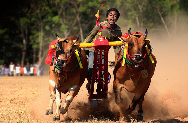 Kebudayaan suku garut
