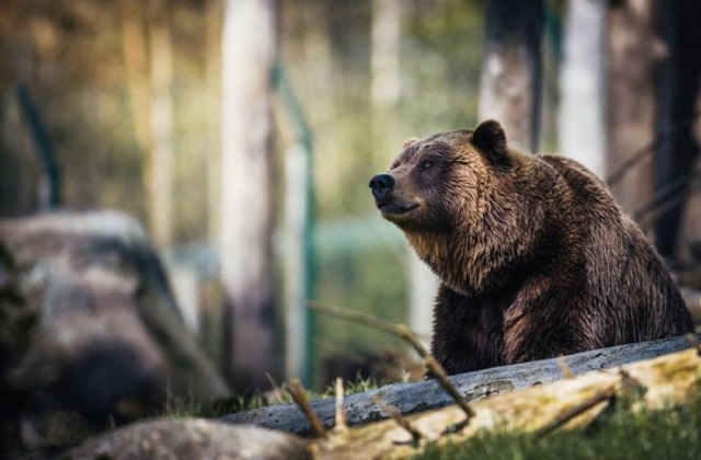 Pengertian Observasi Adalah
